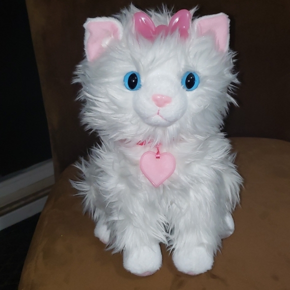 scruffies toy cat